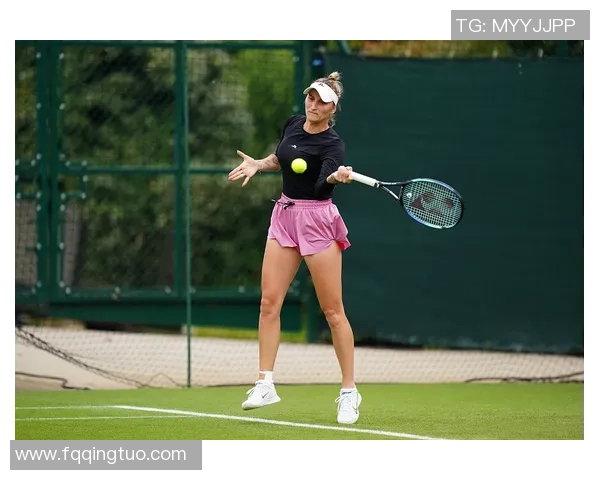 对话杨静:回顾她的网球生涯与未来展望 对话杨静:回顾她的网球生涯与未来展望