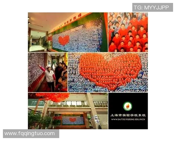 杭州乒乓球队防反革新之路探索与实践的深度剖析与展望