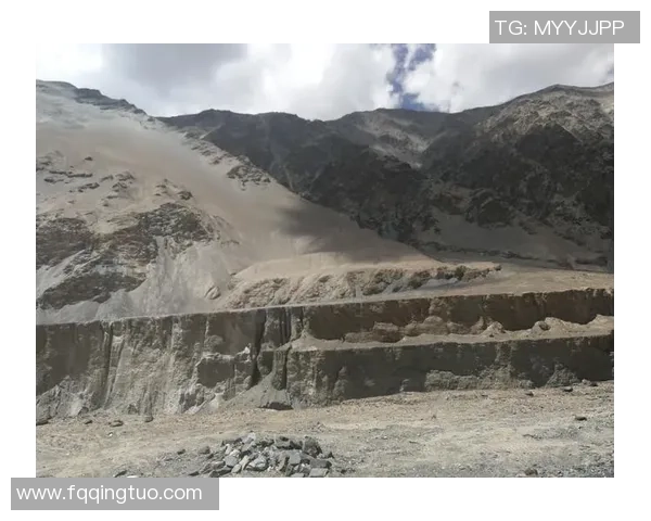 深度对话：探索黄娜在和平精英中的成长与挑战之路