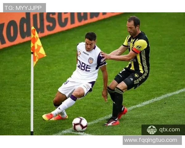 布里斯班与珀斯比赛前瞻分析及胜负预测详解 布里斯班与珀斯比赛前瞻分析及胜负预测详解